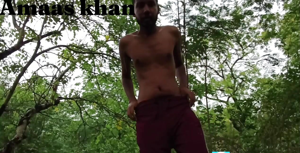 Jungle my Mangal part 1