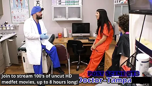 Dr tampa - cewek kelinci percobaan manusia digelitik - selena sativa