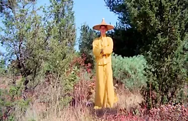 The Vixens of Kung Fu - A Tale of Yin Yang (1975)