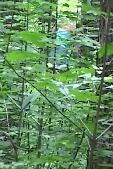 Blonde Babe Fingers Herself Deep in Forest