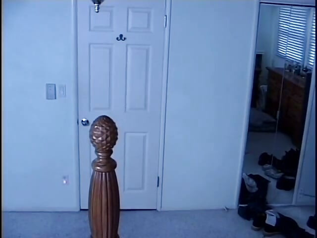 Two sluts and three studs are having a sex orgy when one guy turns into a werewolf