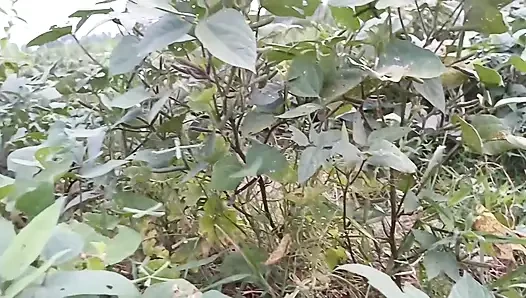 Yeni evli Hintli çift ilk gece seks yüzünde büyük yarak