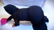 Pregled videozapisa