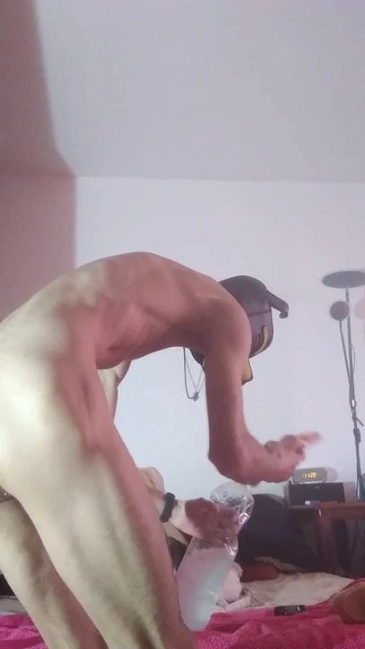 Bitch is played while his Master is at work