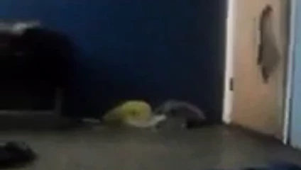 sikimin tadını çıkar