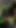 3D Vyper Blowjob and Cumshot