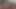 Latinos and Indians Bareback Sex Orgy