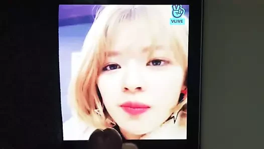 Jeongyeon