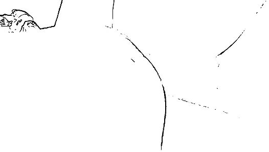 Desi Aunty Sexy Aunty Big Ass Aunty Kolkata Aunty Local Aunty Pussy Aunty Big Aunty Hard Core