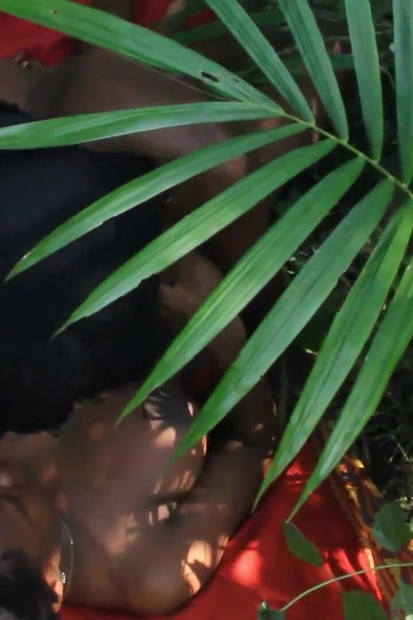 Pasangan Afrika dalam kongkek belukar