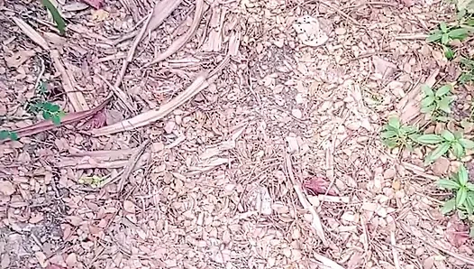 Боковая домохозяйка трахается утром в Джанголе. Анал трахнули.