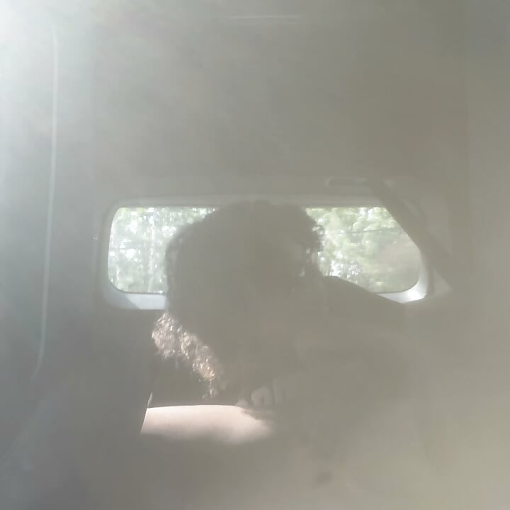 Big Stepdaddykj Big Titty Dominican Sucks && Fucks BBC Part 2