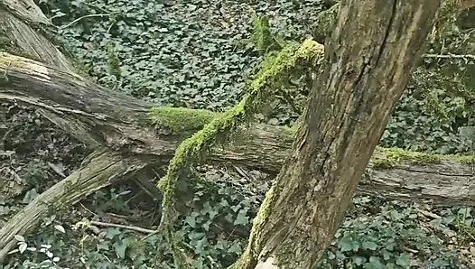 I was touching myself in the woods when a voyeur caught me and fucked my pussy.