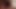 BJ-SWALLOW of Big Hairy Dick by Bearded Mature Daddy