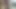 Kolombiyalı abanoz web kamerası