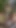 Epic moment from "Old hunter fucks teen girl in the forest"
