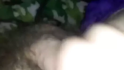 oynama ile yumuşak kıllı horoz