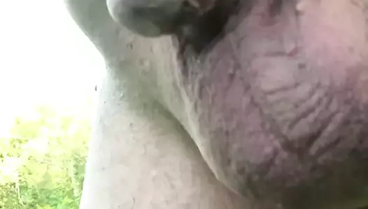 ormanda pissing küçük horoz