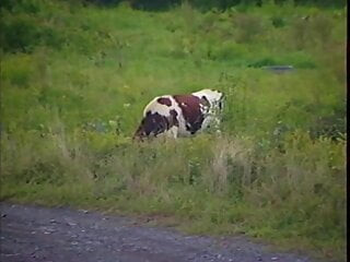 Plotselinge grote liefde in mij - aflevering 5