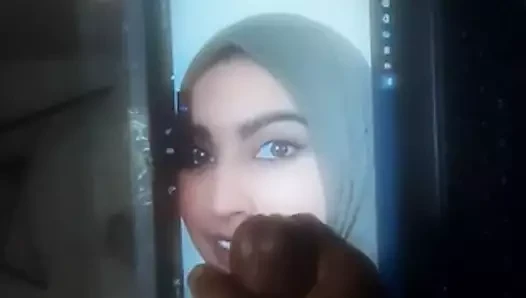zypakislut1120