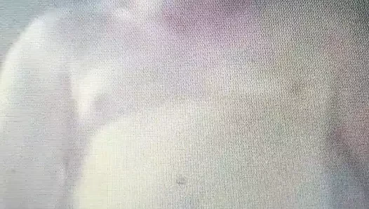 Belgium Pig 2