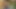 図書館の女の子は私に床で最高のフェラチオをしています
