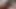 Little Dick Cumshot