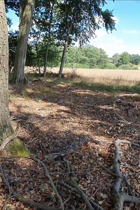 森の端でセックス