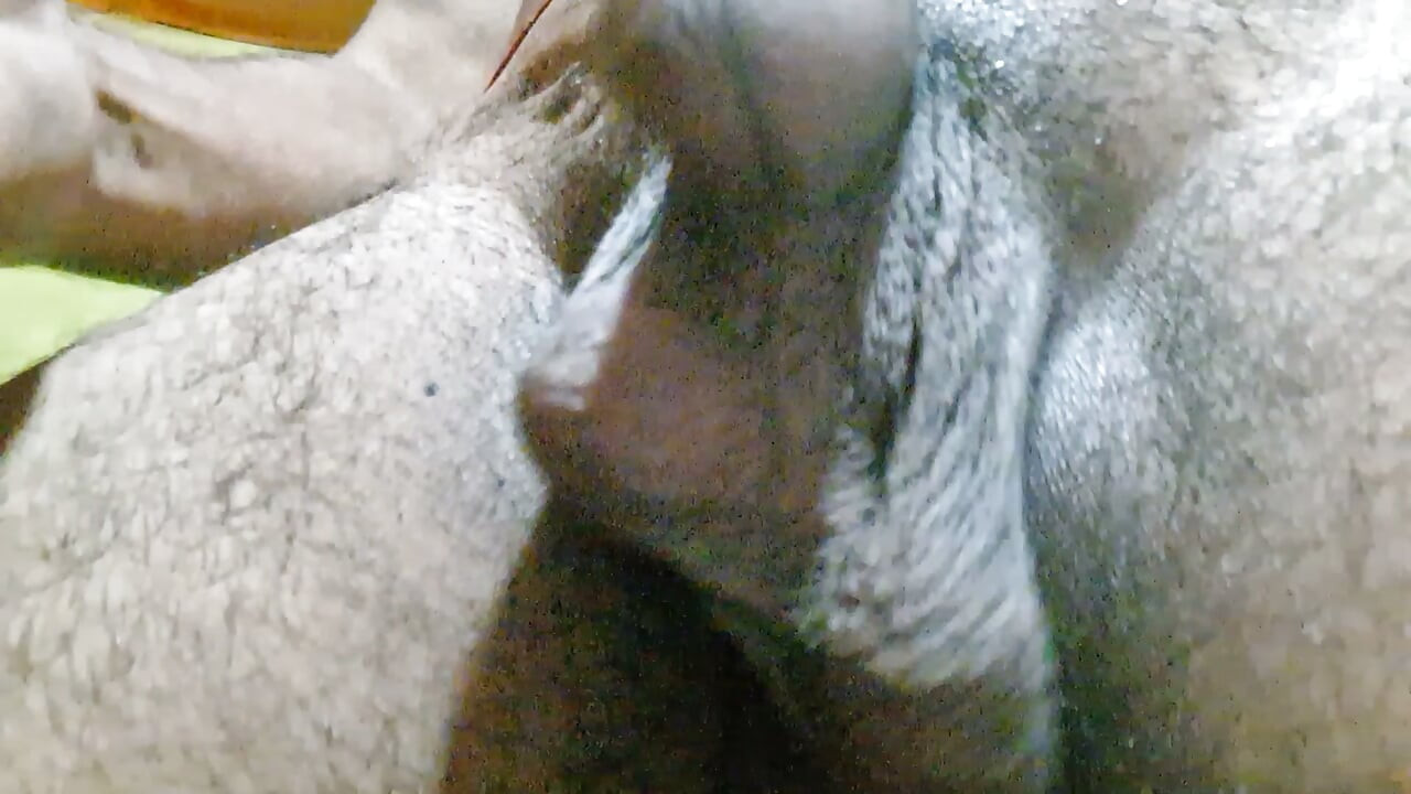 সাদা সুন্দরীদের সাথে আমার সুখের সেক্স