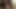 Ts Andrea Nichole sucking a hairy white boy