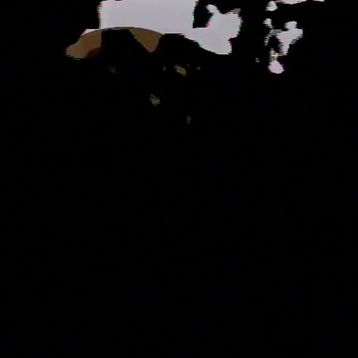 80'lerin Lezbiyenleri Havuzda