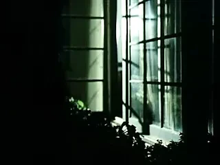Taboo IV (1985)