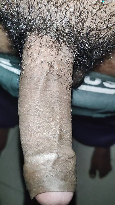My big desi hairy cock
