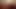 Noobs dan orgasme