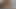 玩具付きアナル