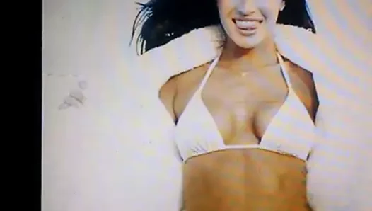 Megan tilki haraç