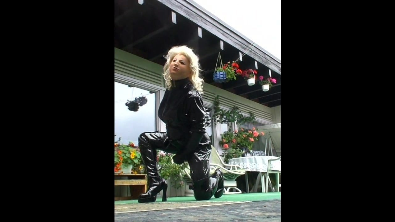 Roxina Lady Cock X