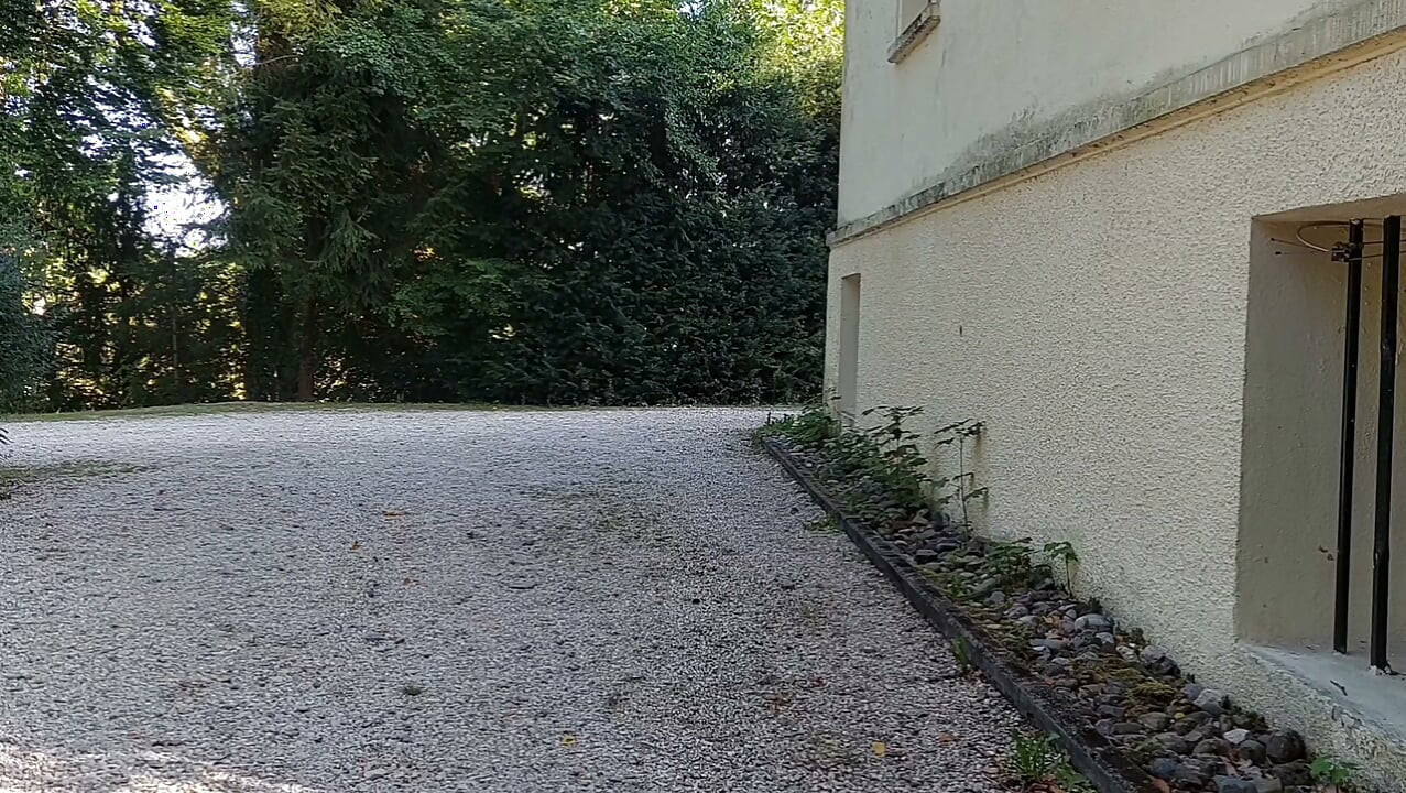 Video la comandă