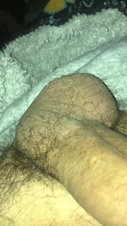 Drkica