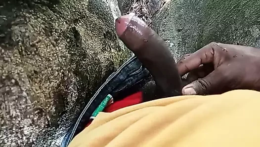 Jungle mein Mangal