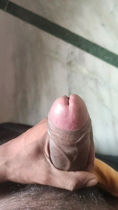 Indian cock show