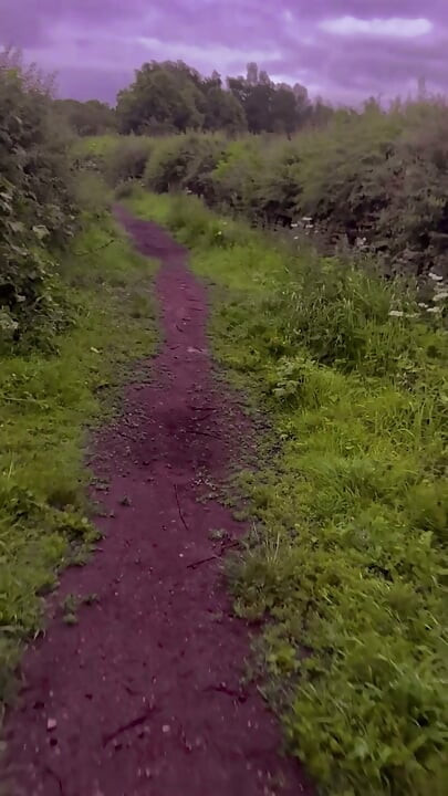 Exploring new tracks walking naked barefoot