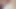 Big Fat Lazy Cock Oozing Loads of Precum