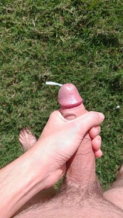 Meu guri