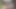 Rajasthani Hindi Wife Desi Sex Marwari Sex Indian Sex
