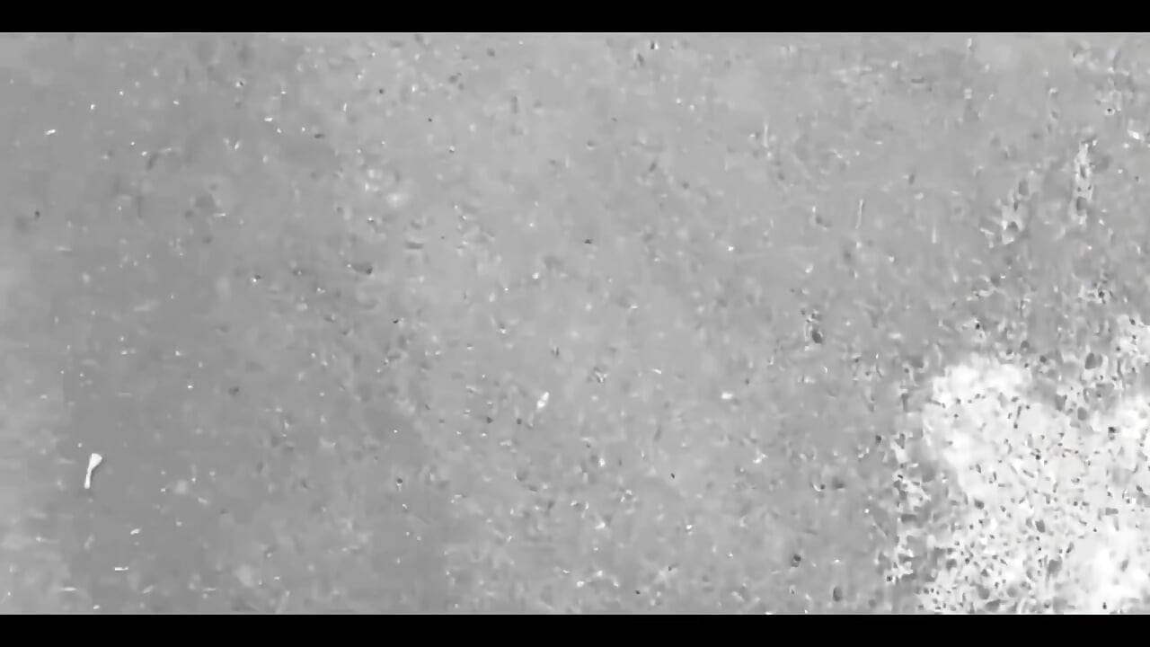 يوقف الوقت لنيك سخونته الساخنة