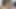 PERGI KE SINI DENGAN ADAMANDEVE DAN LUPO