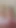 Daisy Fox ve Sahara Skye ve Chanel Camryn ve Maria Anjel ve Reyna Delacruz ve Bailey Base