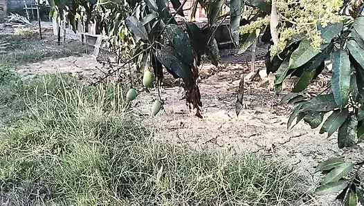 18 yaşındaki genç kız ağaçta meyve toplarken çiftçi bir çocuğu ona mastürbasyon yaparken yakaladı