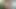 Tara Holiday and her lover are hot lesbians have their